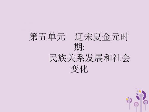 2019年中考历史总复习中国古代史第五单元辽宋夏金元时期民族关系发展和社会变化课件新人教版