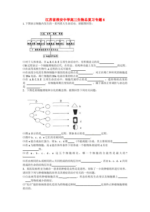 江苏省淮安中学高三生物总复习专题6