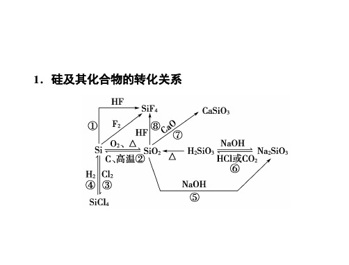 硅及其化合物复习课件