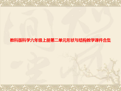 教科版科学六年级上册第二单元形状与结构教学课件合集