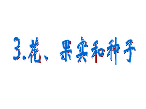 教科版小学四年级下册科学 第二单元 新的生命 3 花 果实和种子课件 (共17张PPT)