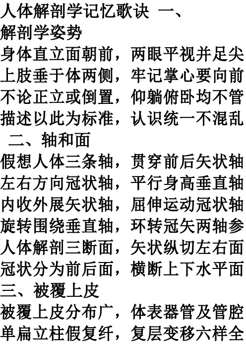 解剖学记忆歌诀大字版