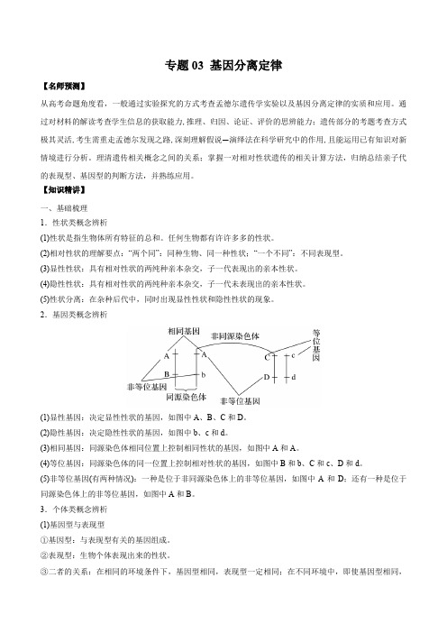 一轮复习专题03 基因的分离定律(一)(解析版)