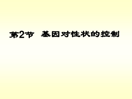 4-2基因对性状的控制