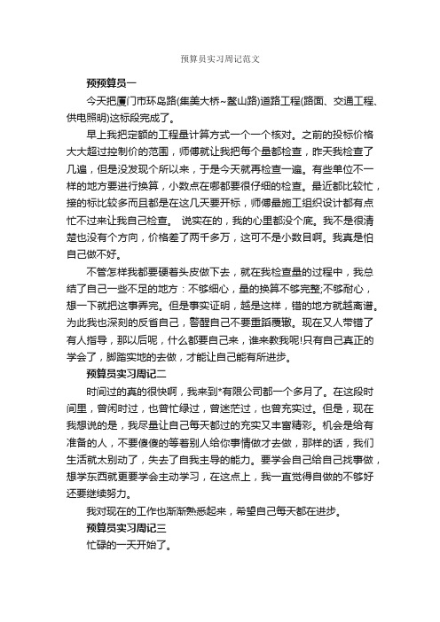 预算员实习周记范文_实习周记_