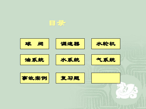 水力机械常见事故故障及其处理.