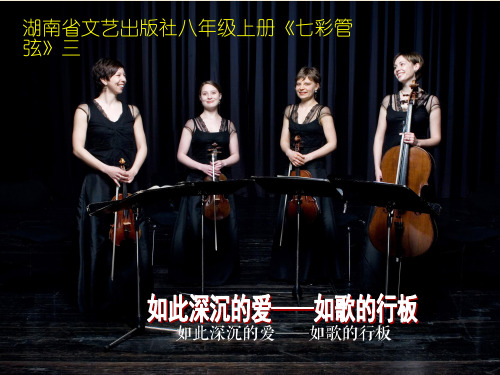 湘教版八年级上册音乐第六单元如歌的行板