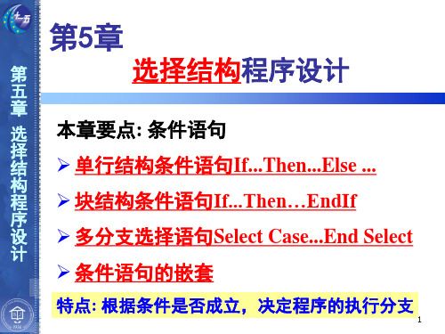 VB程序设计第3版第5章