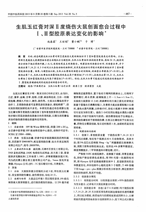 生肌玉红膏对深Ⅱ度烧伤大鼠创面愈合过程中Ⅰ、Ⅲ型胶原表达变化的影响