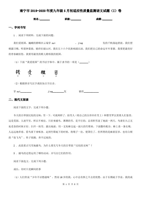 南宁市2019-2020年度九年级5月初适应性质量监测语文试题(I)卷