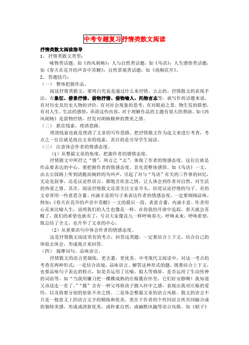 中考专题复习 散文阅读专题