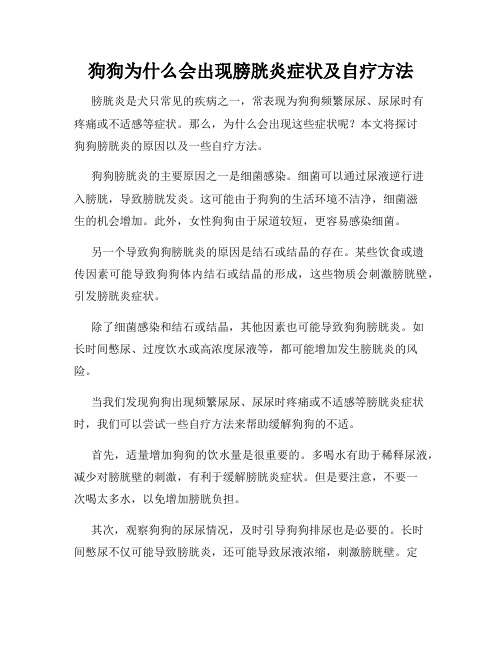 狗狗为什么会出现膀胱炎症状及自疗方法