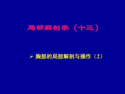 胸部的局部解剖与操作2-人体局解剖学-课件-13