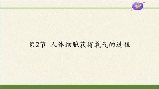 七年级生物下册课件-4.10.2 人体细胞获得氧气的过程9-北师大版