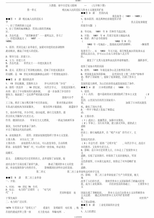 最新2019人教版九年级下历史复习提纲