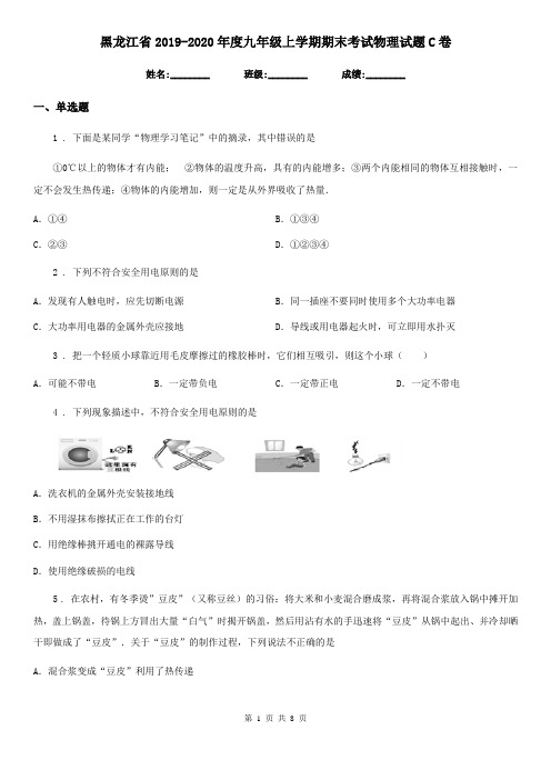 黑龙江省2019-2020年度九年级上学期期末考试物理试题C卷