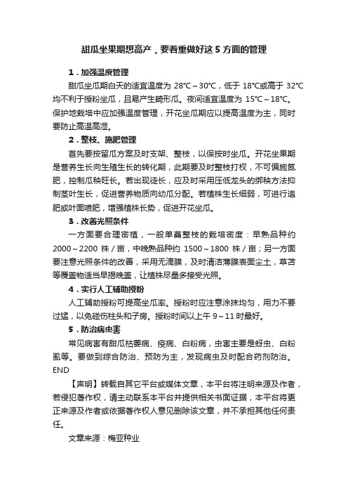 甜瓜坐果期想高产，要着重做好这5方面的管理