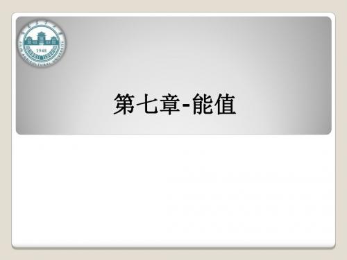 第七章-能值ppt课件