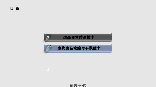 第十一章结晶与成品干燥技术PPT课件