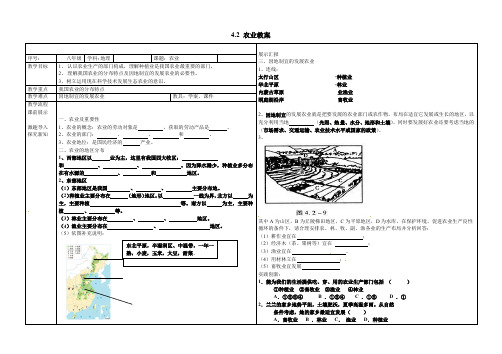 新人教版八年级地理上册：4.2《农业》教案设计