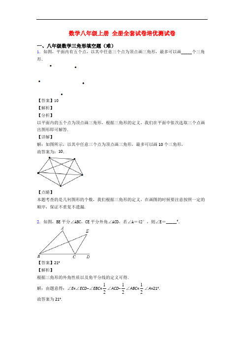 数学八年级上册 全册全套试卷培优测试卷