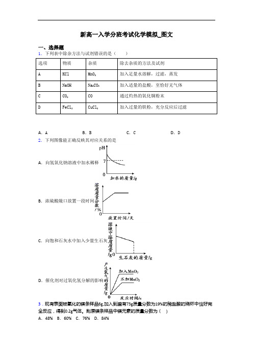 新高一入学分班考试化学模拟_图文