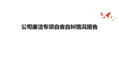 公司廉洁专项自查自纠情况报告