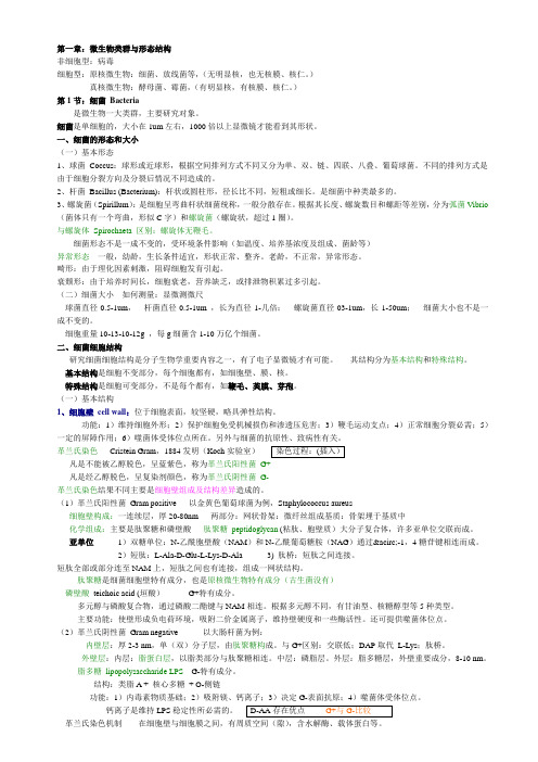 (完整版)微生物类群与形态结构