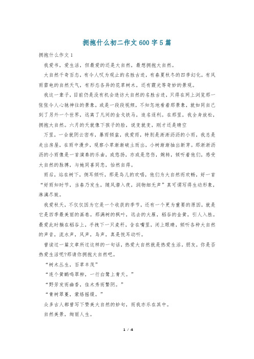 拥抱什么初二作文600字5篇