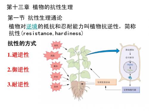 第十三章 植物的抗性生理