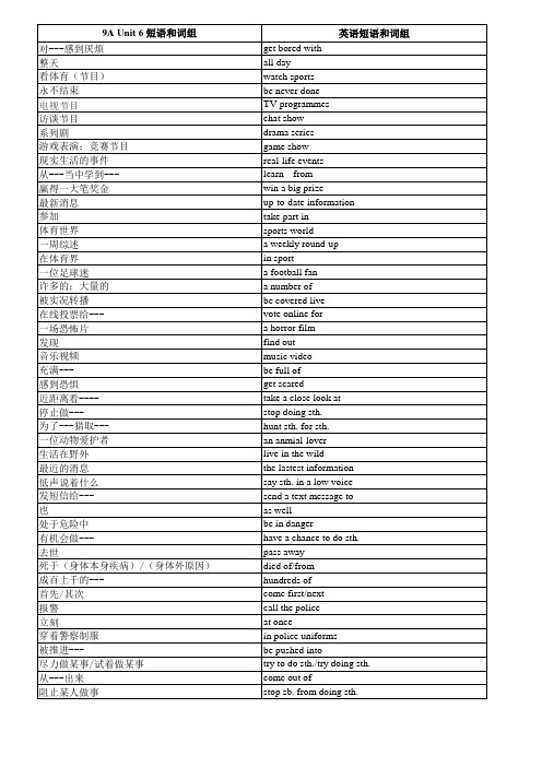 最新牛津译林版 9A Unit6 词组和短语