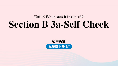 2023九年级英语全册Unit6第6课时SectionB3a_selfcheck上课