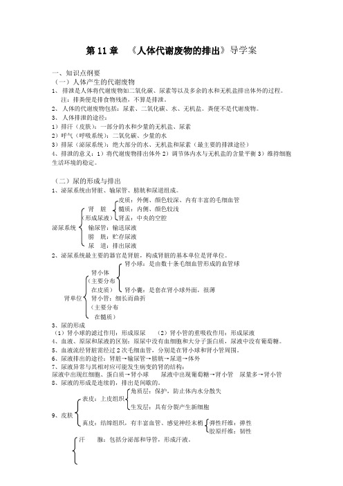 北师大版初中生物七年级下册第11章人体代谢废物的排出导学案