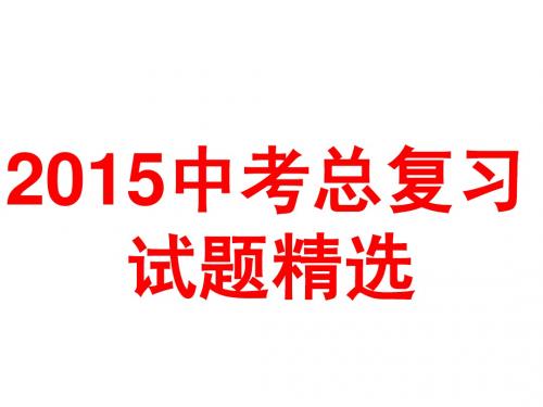 2015年中考总复习试题精选