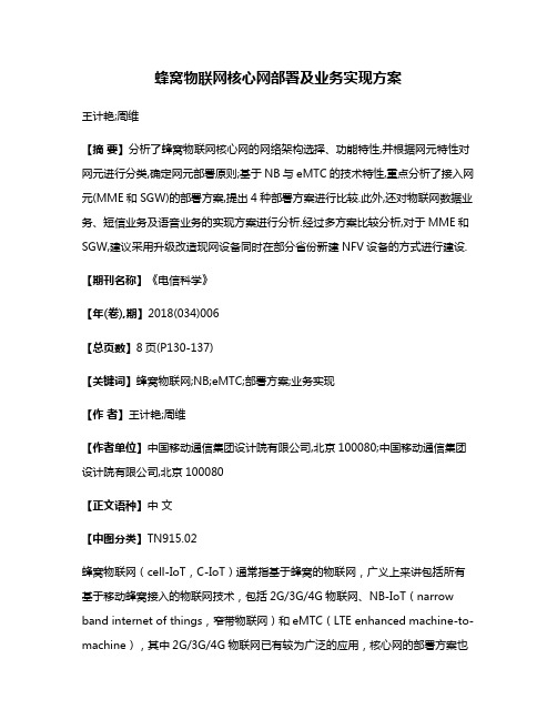 蜂窝物联网核心网部署及业务实现方案