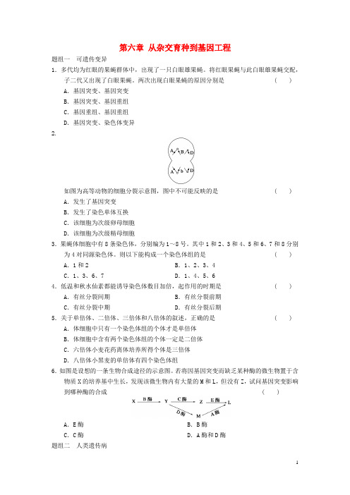 高中生物第六章从杂交育种到基因工程专项训练新人教版必修2