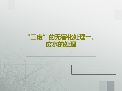 “三废”的无害化处理一、废水的处理68页PPT