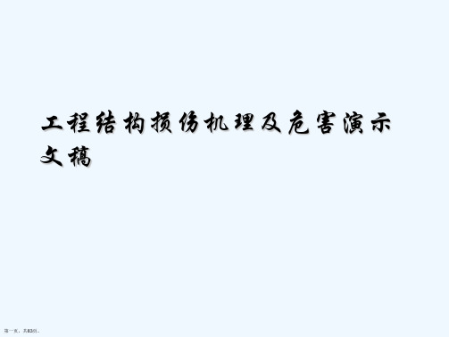 工程结构损伤机理及危害演示文稿