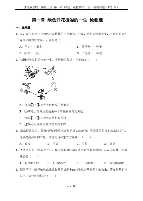 济南版生物八年级上册 第一章 绿色开花植物的一生  检测试题(解析版)