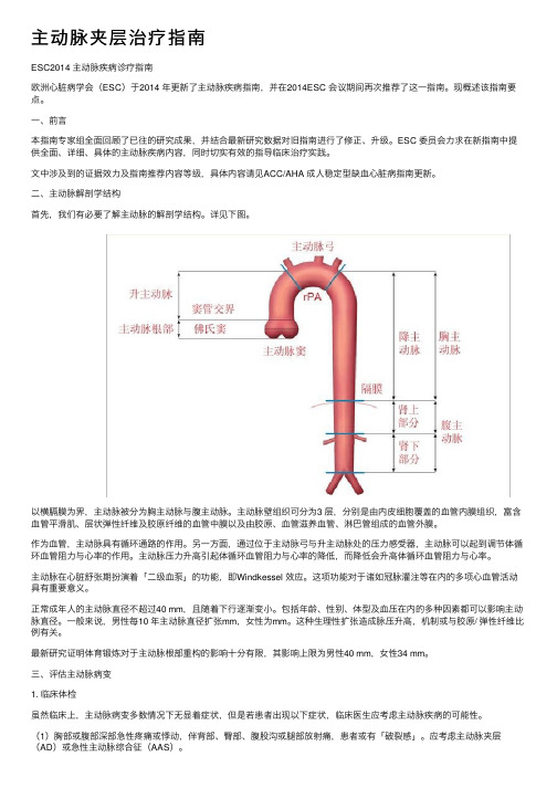 主动脉夹层治疗指南