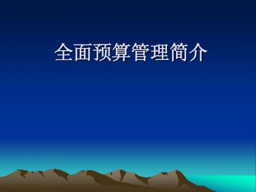 全面预算管理实施