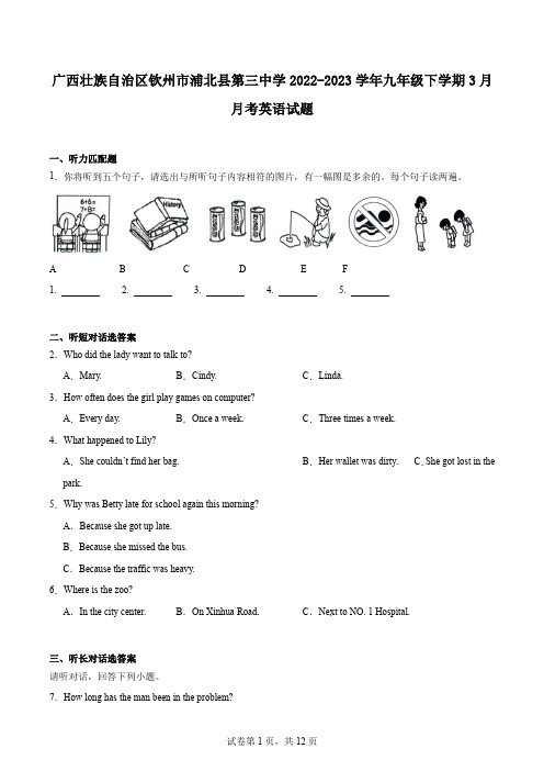 广西壮族自治区钦州市浦北县第三中学2022-2023学年九年级下学期3月月考英语试题