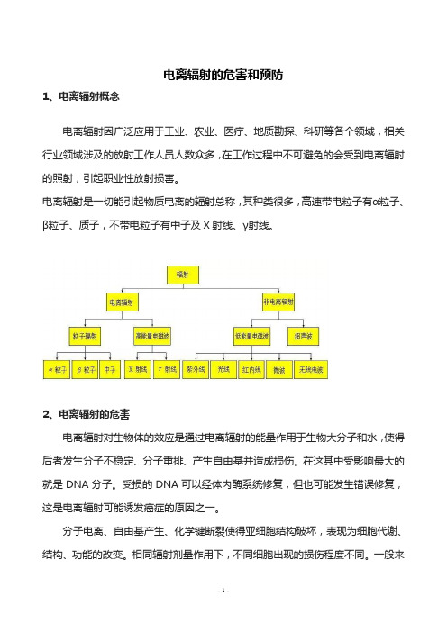 电离辐射的危害和预防