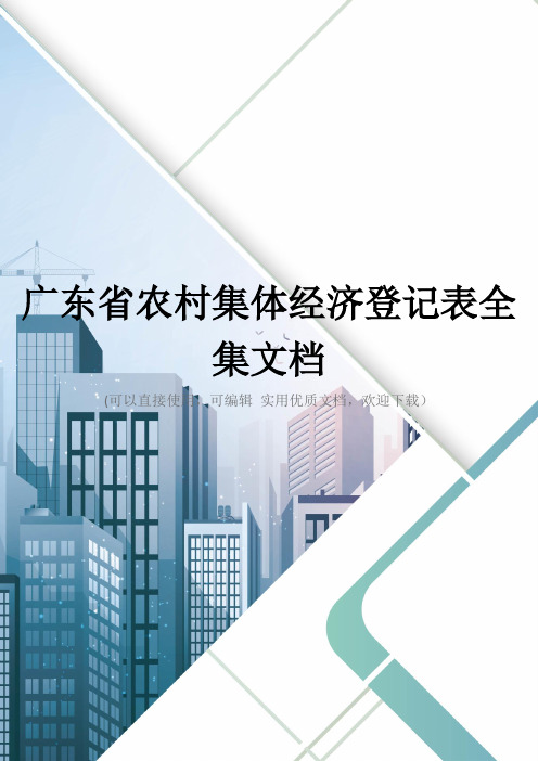 广东省农村集体经济登记表全集文档