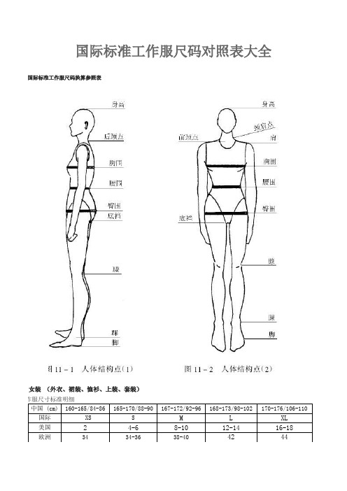 国际标准工作服尺码对照表大全