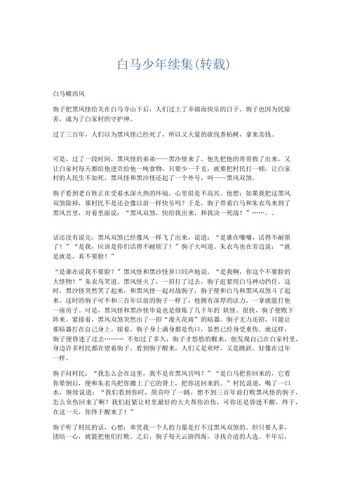 应用文 白马少年续集(转载)-精品