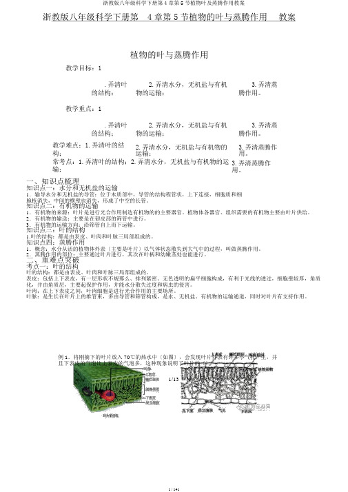 浙教版八年级科学下册第4章第5节植物叶及蒸腾作用教案