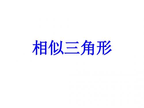 山东省中考数学相似三角形课件