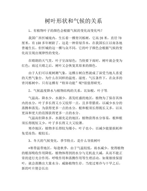 树叶形状和气候的关系