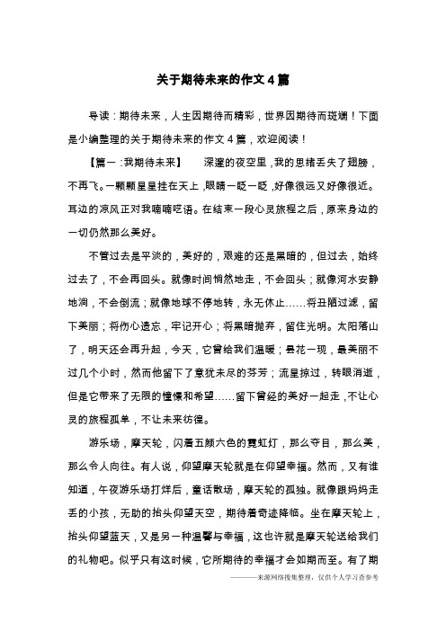 关于期待未来的作文4篇